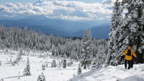У активного туризма в России самый высокий показатель