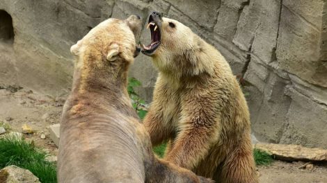 В Свердловской области будет установлена стела в честь моряков-подводников