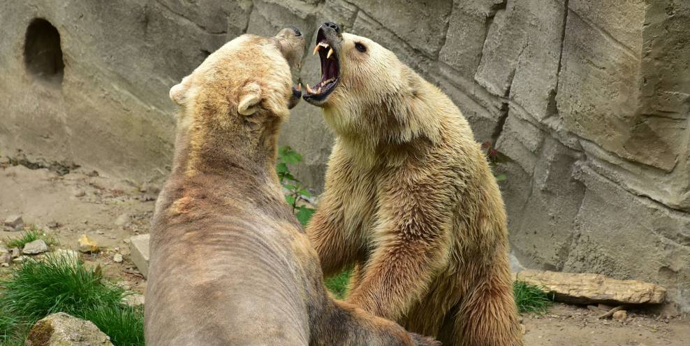 В Свердловской области будет установлена стела в честь моряков-подводников
