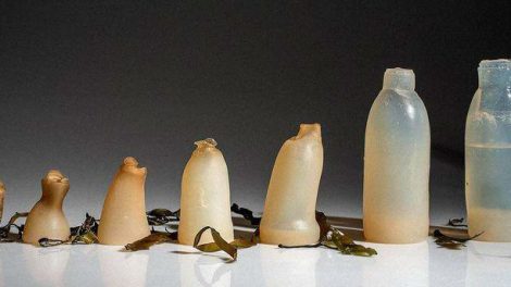 В Исландии создали съедобные бутылки, не засоряющие природу