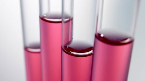 Российская вакцина против Эболы готова к испытаниям в Гвинее