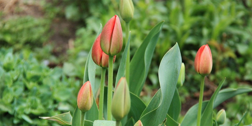 Как Екатеринбург проведет 1 мая?