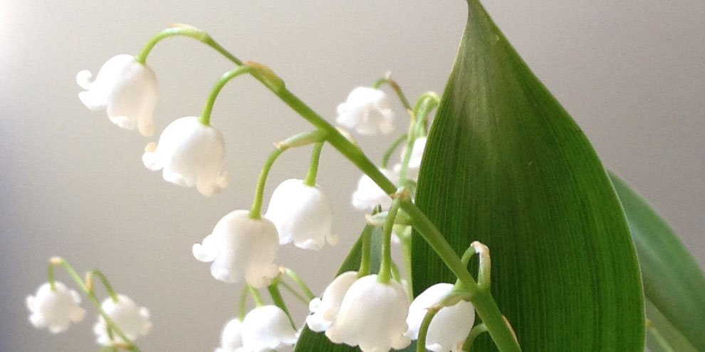 Более 100 тысяч уральцев примут участие в Первомае