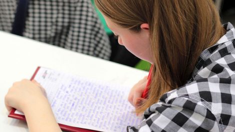 В Свердловской области напишут ИТ-диктант