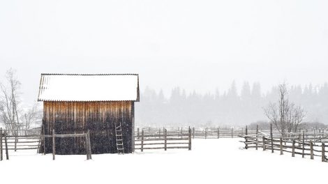 В Москве разрабатывают программу обмена жильем между семьями