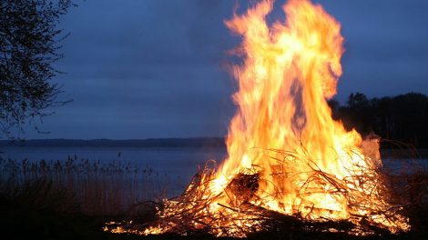 Лесная охрана усилит патрулирование в майские праздники