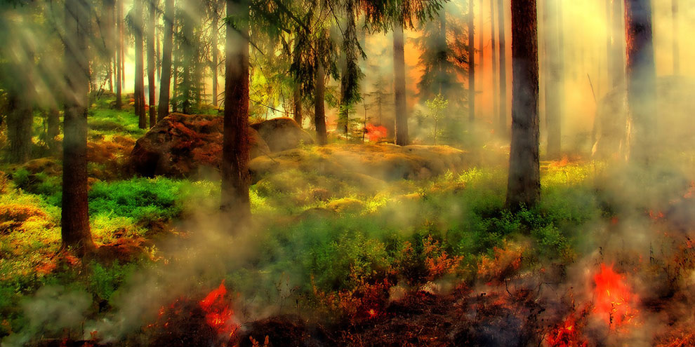 В Свердловской области зафиксировано 17 пожаров