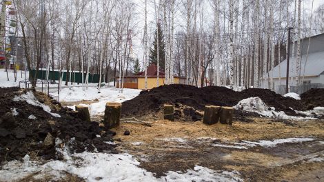 Свердловская область проведет акцию «Марш парков»