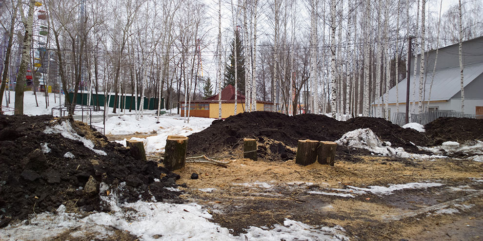 Свердловская область проведет акцию «Марш парков»