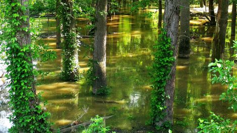 Тавду ожидает самый большой паводок в истории