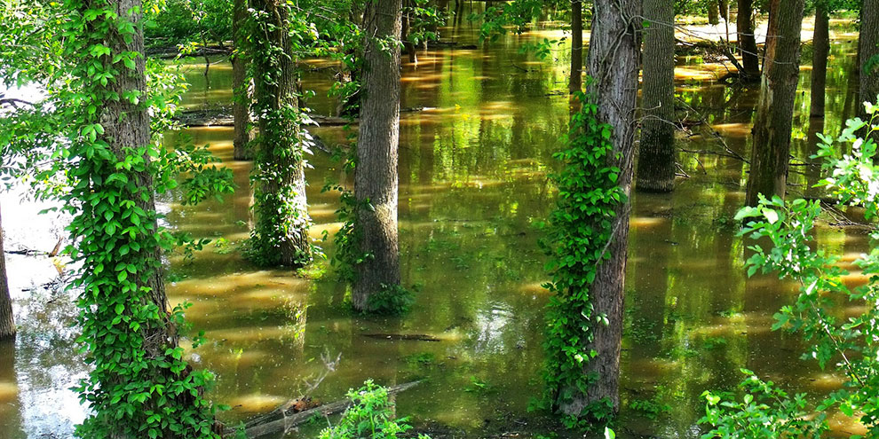 Тавду ожидает самый большой паводок в истории