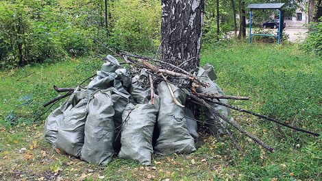 Депутаты Екатеринбургской гордумы обозначили место субботника