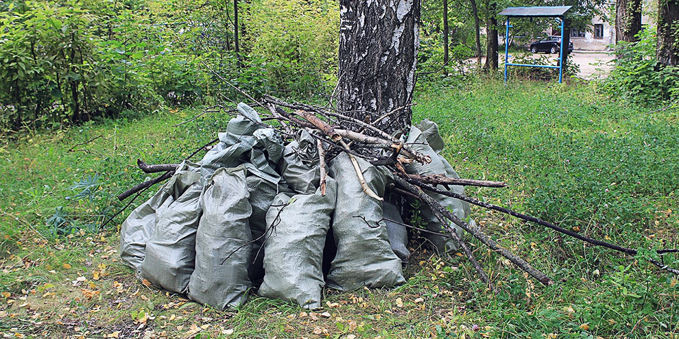 Депутаты Екатеринбургской гордумы обозначили место субботника