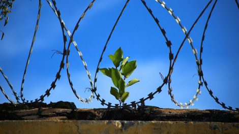 Воспитанник колонии победил в конкурсе на «Лучший интернет-ресурс»