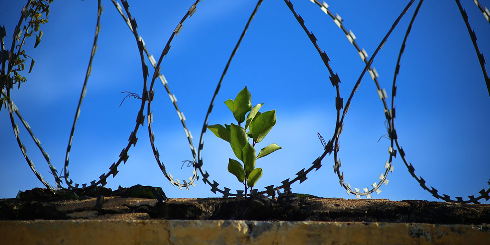 Воспитанник колонии победил в конкурсе на «Лучший интернет-ресурс»