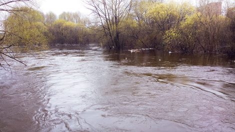 Депутаты просят губернатора принять меры против затопления территорий
