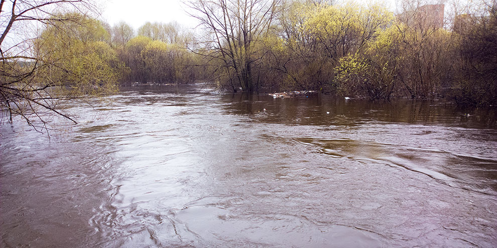 Депутаты просят губернатора принять меры против затопления территорий