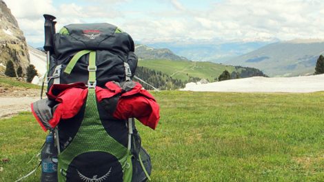 Пеший этап Майской прогулки пройдет в это воскресенье