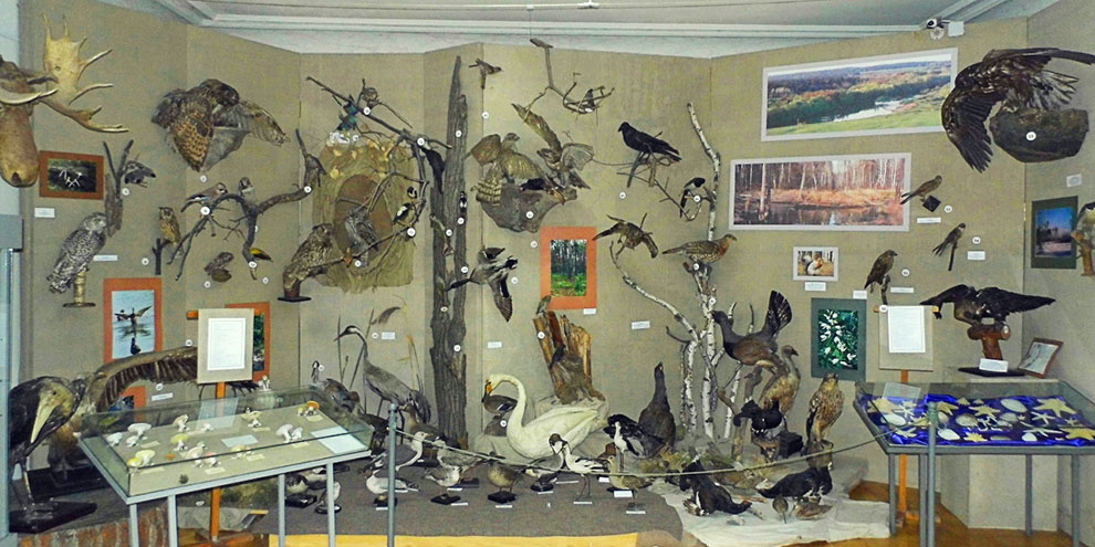 Четырнадцать школьных музеев откроют двери ночью