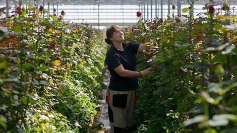 В Доме журналистов открылась фотовыставка «На Урале делают не только танки»