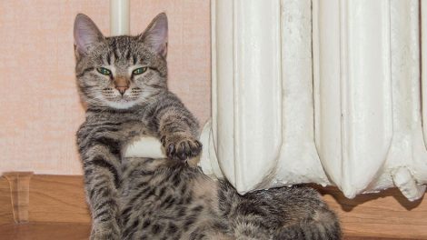 Отопление в Екатеринбурге включат 17 сентября