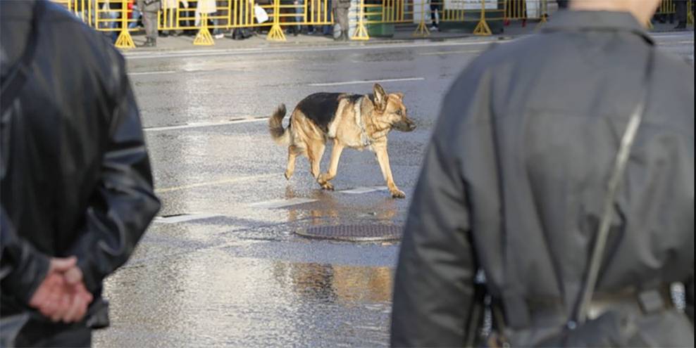 Полицейские оцепили школу на Уралмаше
