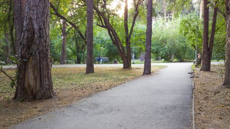 В Екатеринбурге из-за жары закрыли Ботанический сад