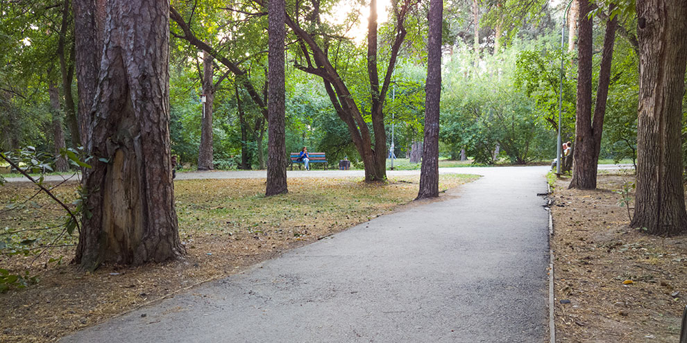 В Екатеринбурге из-за жары закрыли Ботанический сад