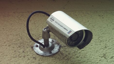 Началась видеотрансляция со свердловских избирательных участков