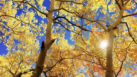 Спортивный и творческий отдых подарит в выходные ЦПКиО