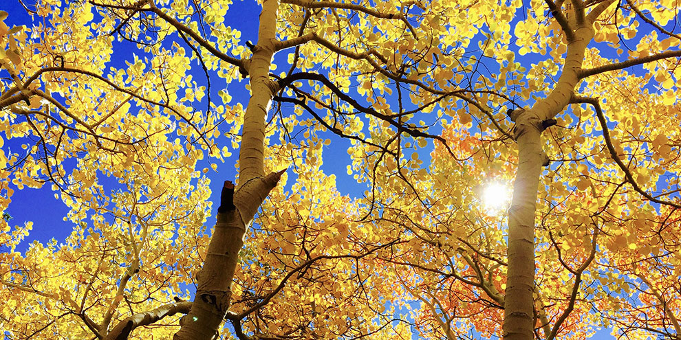 Спортивный и творческий отдых подарит в выходные ЦПКиО