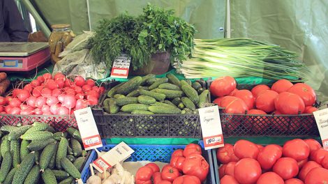 Ярмарки ждут садоводов с урожаем в следующие выходные