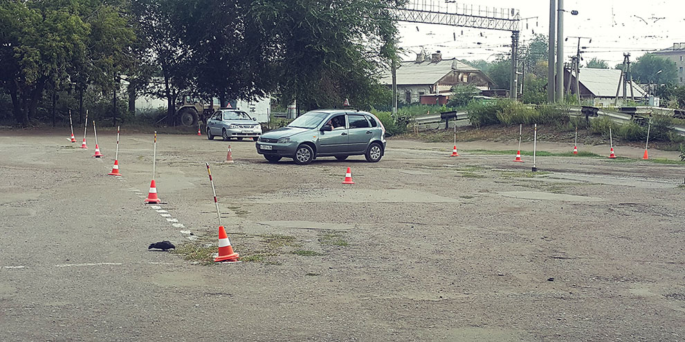 Вождение на автодроме исключат из экзамена на водительские права