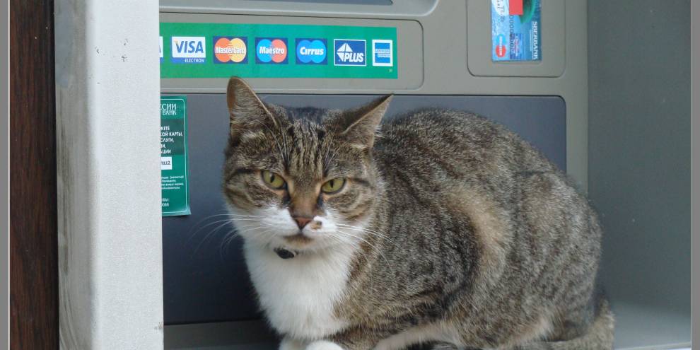 Сбербанк выявил новый способ мошенничества