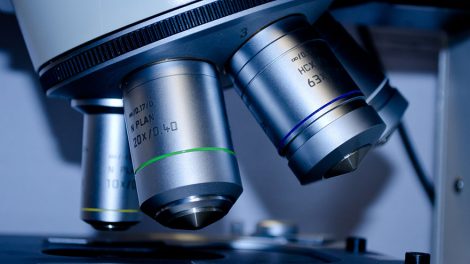 Препарат для увеличения продолжительности жизни разработали химики УрФУ