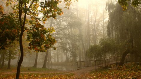 Конкурс идей на создание главного городского парка стартовал в Екатеринбурге