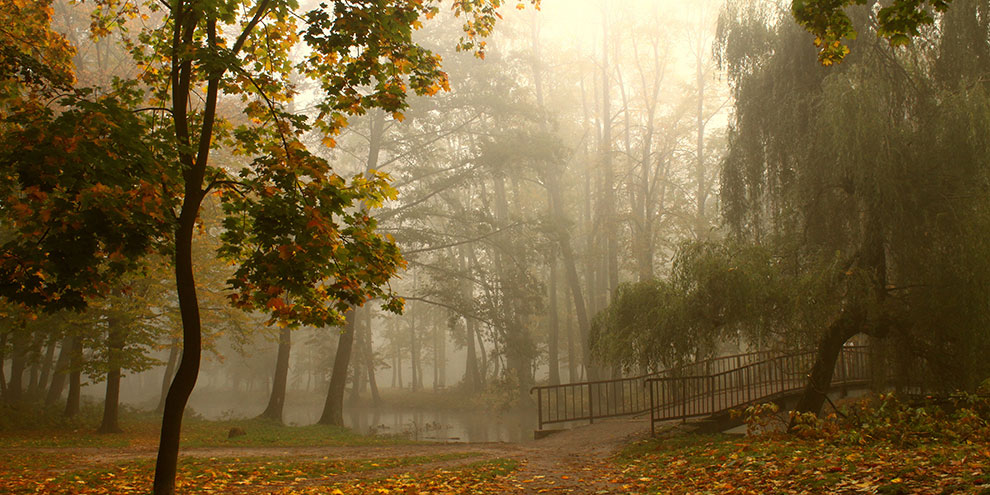 Конкурс идей на создание главного городского парка стартовал в Екатеринбурге