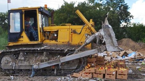 В Екатеринбурге уничтожили три тонны санкционных груш