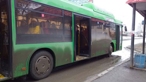 В Екатеринбурге выйдут на линию 60 новых низкопольных автобусов