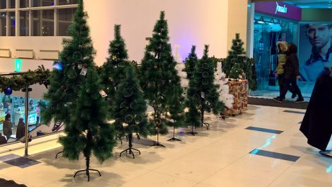 В Екатеринбурге не будет легальных ёлочных базаров