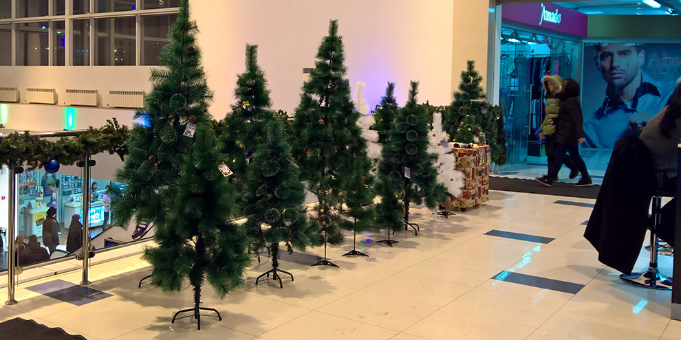 В Екатеринбурге не будет легальных ёлочных базаров