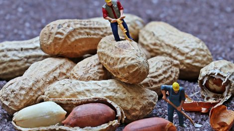 В помощь обманутым дольщикам создадут компенсационный фонд