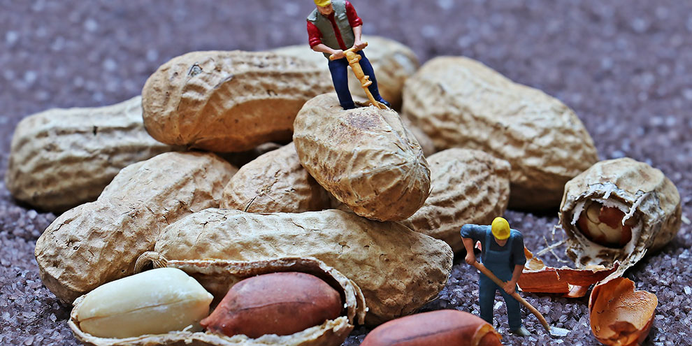 В помощь обманутым дольщикам создадут компенсационный фонд