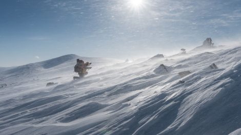 Следственный комитет раскрыл тайну перевала Дятлова