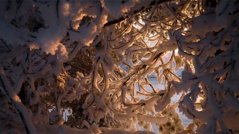 В Екатеринбурге обещают похолодание до -41°С