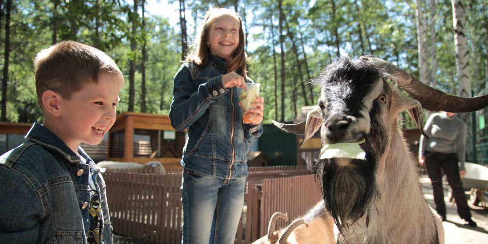 В парке Маяковского закрылся контактный зоопарк
