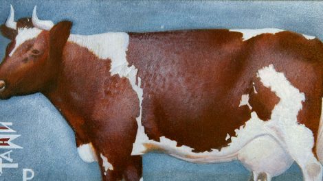 ФОТО: В Музее ИЗО 27 января откроется выставка из уникальной галереи “Автограф”