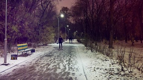 В Зелёной роще будут следить за порядком с помощью камер