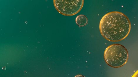 В Екатеринбурге разрабатывают масло – замену антибиотикам