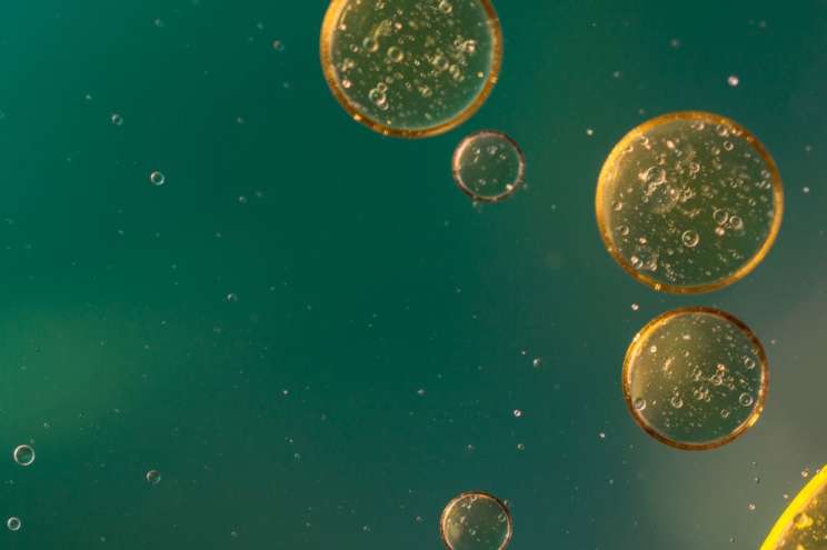 В Екатеринбурге разрабатывают масло – замену антибиотикам